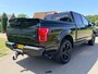 Ford F-150 USA 3.5 V6 Ecoboost SuperCrew Platinum Panodak Leder Clima Trekhaak Stoelverwarming/Koeling Gas Camera treeplank NAPBTW
