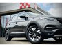 Opel Grandland X 1.2 Turbo Business Executive | TREKHAAK | STOEL VERW - KOELING