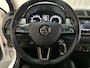 Skoda Fabia Combi 1.0 TSI Business Edition App-Connect Parkeersensoren Airco Trekhaak