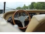 Morgan 4/4 1.6 4-SEATER 1983 | BAGAGEREK | GROEN