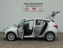 Ford Fiesta 1.0 ECOBOOST 100PK TITANIUM ZEER NETTE NL-AUTO