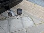 Volvo EX90 Twin Motor Plus 7p. 111 kWh | Pilot Assist | Climate | Trekhaak | Stoelventilatie |