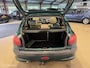Peugeot 206 1.6-16V Roland Garros Aut/Clima/Glasdak/Nap/1EIG