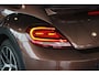 Volkswagen Beetle 1.2 TSI Dune Carplay | Stoelverw. | Clima | Bluetooth | Cruise | Halfleder | 18" LMV | PDC V+A