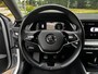 Skoda Octavia Combi 1.0 TSI Business Edition Virtual cockpit Pdc Applecarplay Trekhaak Nap