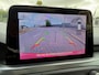 Ford Focus 1.0 EcoBoost Titanium Business_AUTOMAAT_PANORAMADAK_NETTE AUTO
