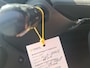Citroën C1 1.0 VTi Feel Trekhaak allseason