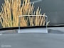 DS 5 165pk Chic I Automaat I Leder I Panodak I Trekhaak I