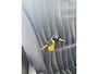 Nissan Pixo 1.0 Acenta airco