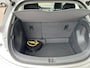 Opel Ampera-e Business executive 60 kWh nieuwe accu onder garantie