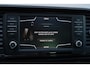 CUPRA Ateca 2.0 TSI 4DRIVE 300pk DSG7