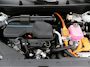 Kia Sportage 1.6 T-GDi Hybrid DynamicPlusLine | Pano Dank | Afn Trekhaak | Elekt. Klep |