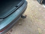 Skoda Karoq 1.5 TSI ACT Ambition Business,AUTOMAAT, TREKHAAK, MEMORYSTOELEN ,