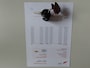 Toyota Yaris 1.3-16V VVT-i Luna Stuurbekrachtiging Zuinige Auto Nwe Apk