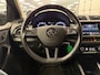 Skoda Fabia Combi 1.0 TSI Business Edition * Carplay / LM Velgen / Cruise control / NL Auto *
