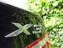 BMW X3 XDrive20d High Executive | M-Pakket | Panorama dak | Navi | Leer