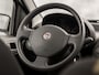 Fiat Panda 1.2 Sport (PANORAMADAK, AIRCO, RADIO, SPORTSTOELEN, PARKEERSENSOREN, NIEUWE APK, NIEUWSTAAT)