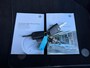 Volkswagen Golf 1.5 TSI Join R-Line pakket  Pano Carplay PDC
