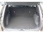Ford Kuga 2.5 PHEV TITANIUM KEYLESS CLIMA WINTERPACK PARK-SENSOREN CAMERA LED ALL-SEASON