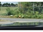 BMW 3-Serie Touring 320e | Head-up display | Stoelverwarming | Carplay |