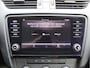 Skoda Octavia Combi 1.0 TSI Greentech Ambition Carplay, Cruise, PDC, NAP Zomeractie!