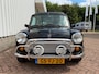 Rover Mini 1.3 British Open, Vouwdak, NL auto