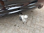 Volvo XC60 2.0 T8 Plug-in hybrid AWD R-design|ACC|360 Camera|Trekhaak