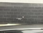 Kia Niro Hybrid 1.6 GDi DynamicLine | Widescreen | camera | 1/2 Leder | Stoel en stuurverwarwing