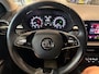 Skoda Fabia 1.0 TSI Business Edition