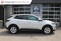Opel Grandland 1.2 TURBO ONLINE EDITION AIRCO NAVI TREKHAAK