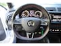 Skoda Fabia Combi 1.0 TSI Monte Carlo NL-Auto Stoelverw/Cruise/17Inch