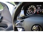 Skoda Fabia Combi 1.0 TSI Monte Carlo NL-Auto Stoelverw/Cruise/17Inch