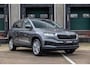 Skoda Karoq 1.0 TSI 115pk Business Edition | Travel Assist Pakket | Navigatie Pakket | Achteruitrijcamera