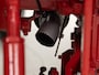 Porsche Overige Tractor Diesel Super N 308