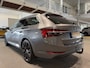 Skoda Superb 1.4 TSI iV Business Edition, Trekhaak, Pano, Memory, CANTON