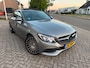 Mercedes-Benz C-klasse 350 e Lease Panodak, Camera