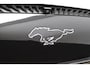 Ford Mustang Mach-E Extended RWD 98 kWh | Panoramadak | B&O | Elek. Stoelen | 360 Camera | Adaptive Cruise | BLIS | CarPlay/Android Auto