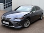 Lexus ES 300h President Line | Mark Levinson | Camerabeeld Buitenspiegels