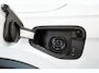 Volkswagen Tiguan 1.4 TSI eHybrid R-Line Business Panoramadak Leder ACC PDC Memory Stoelen 24 Maanden garantie* (Vraag naar de voorwaarden)