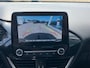 Ford Puma Titanium Design Edition 1.0 EcoBoost Hybrid | Trekhaak | Winter Pack | Achteruitrijcamera |