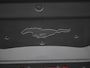 Ford Mustang Mach-E Standard RWD 75 kWh Technologie Pack Plus | Panorama dak | Elektrisch verstelbare voorstoelen