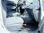 Ford Fiesta 1.25 Titanium|Airco|Cruise Control|P Sensor|NAP|Onderhoud|