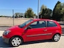 Ford Fiesta 1.3-8V Champion