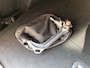 Ford Focus Wagon 1.5 EcoBoost ST Line // AFN. TREKHAAK // KEYLESS // WINTERPACK // CAMERA+SENSOREN // NAVI+CARPLAY //