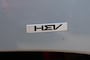 Kia Sportage 1.6 T-GDi HEV automaat, leder, harman kardon