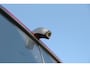 Volkswagen Crafter 30 2.0 TDI 140pk Automaat L3H3 Highline | LED Koplampen | Navigatie | App Connect | Achteruitrijcamera | Cruise Control | Winter Pakket