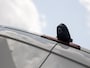 Mercedes-Benz Sprinter 211 2.2 CDI 325 HD Automaat (CAMERA, AIRCO, ELEK RAMEN, NIEUWE APK, NIEUWSTAAT)