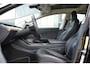 Tesla Model 3 Standard RWD Plus 60 kWh | Panoramadak | Trekhaak