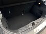 Ford Fiesta 1.0 EcoBoost Titanium|Panodak|Winterpack|Camera|Apple Carplay|B&O Speakers