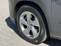 Lexus NX 300h AWD Executive Line Panoramadak / Dealer onderhouden / Leer